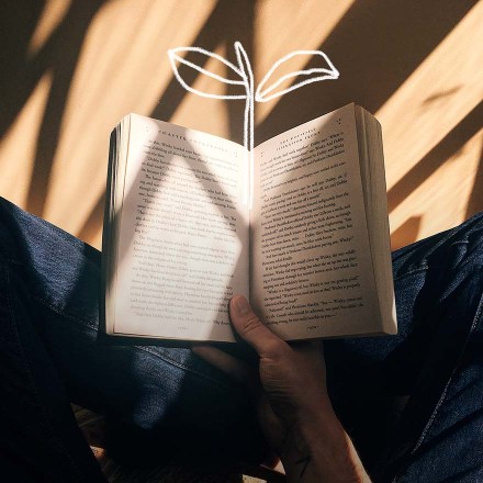Groww: Democratizing investing through education
