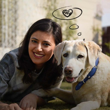 Heads Up For Tails: bringing joy to India’s pets and their families, one home at a time