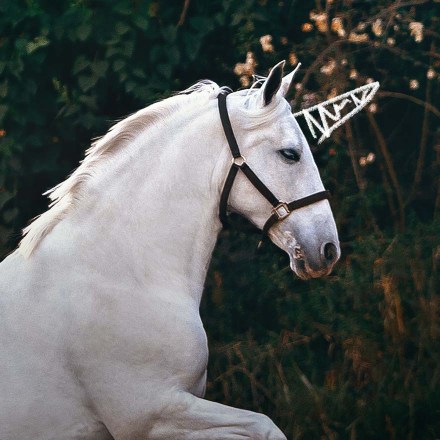 The Next 100 Unicorns From India
