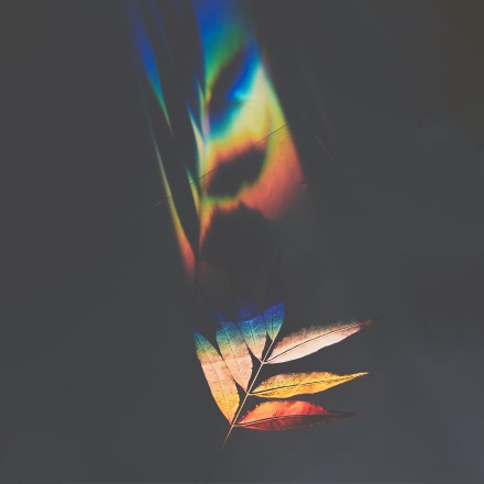 The Beauty in Imperfection