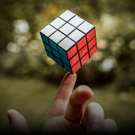Finding Balance: Lessons from Nature’s Feedback Loops